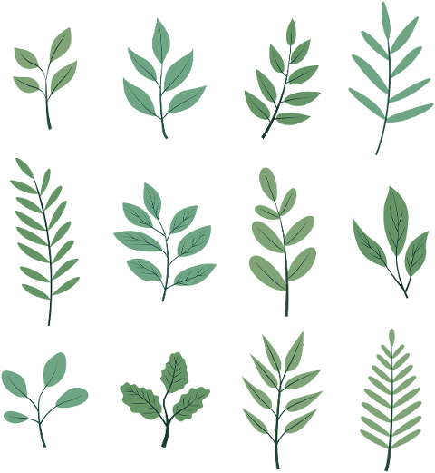 floral-nature-leaves-plant-green-9605771