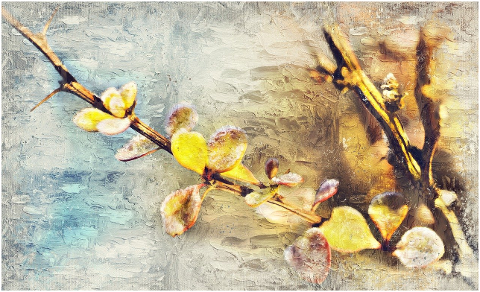 barberry-leaves-photo-art-frost-6053496