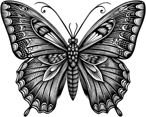 ai-generated-butterfly-insect-9574681