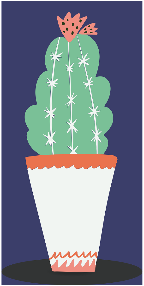 cactus-plant-plant-pot-succulent-7570792