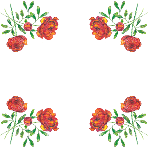 roses-flowers-watercolor-8486187