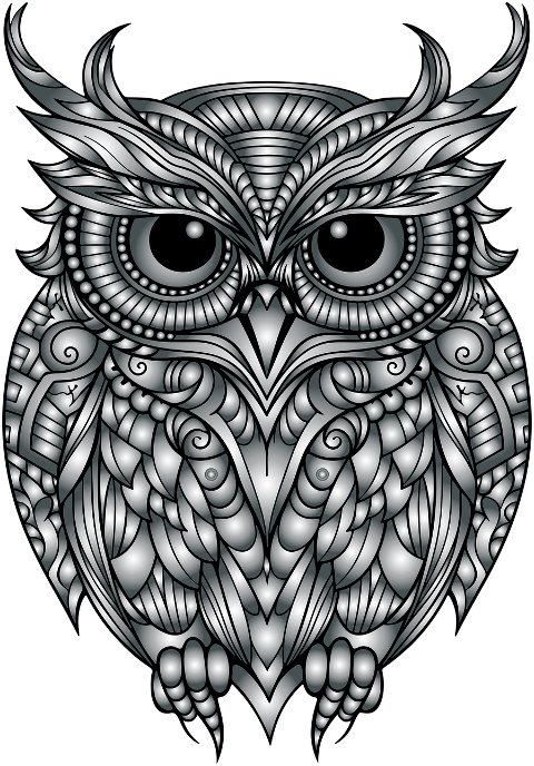 owl-bird-art-geometric-animal-8506552