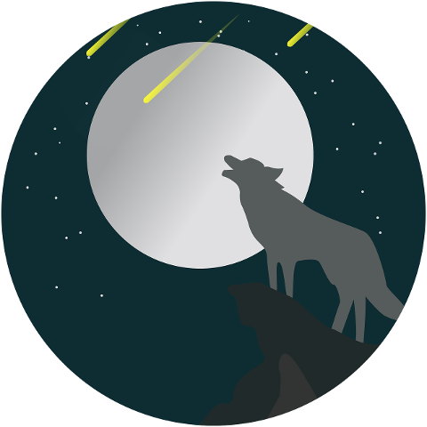 wolf-animal-wildlife-wolves-sunset-7206594