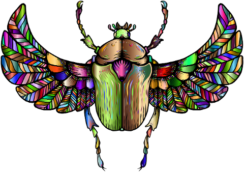 beetle-insect-animal-bug-wings-7175189