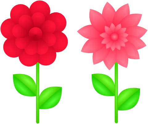 flowers-red-flower-pink-flower-7328628