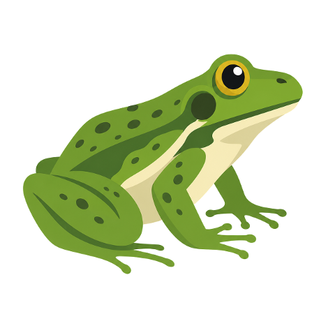 frog-amphibian-green-color-spotted-10393286