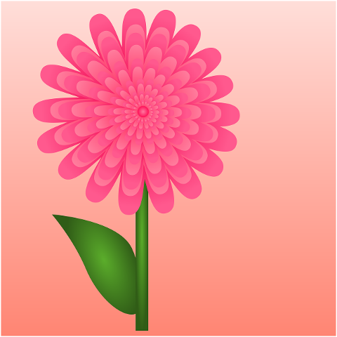 happy-mothers-day-flower-pink-flower-7400324