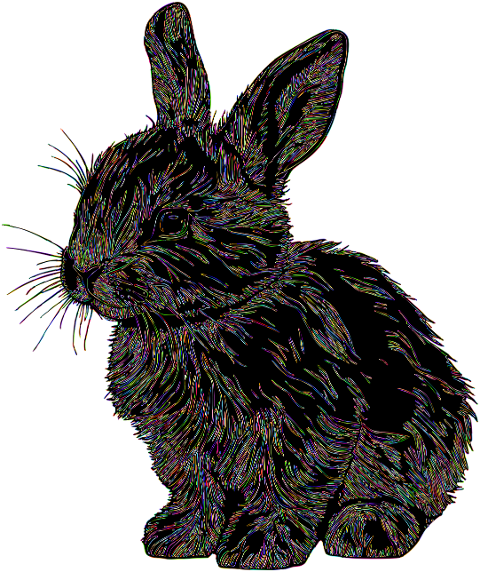 bunny-rabbit-animal-line-art-pet-8599106