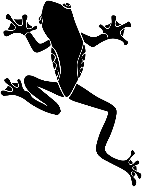 frog-amphibian-animal-tree-frog-6991335
