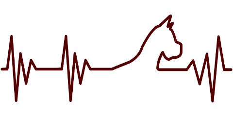 logo-dog-heartbeat-cardio-7482312
