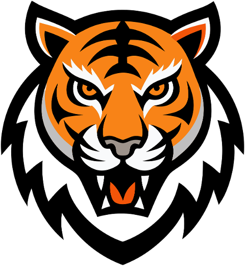 tiger-animal-predator-feline-9845256