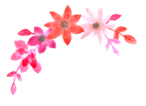 flowers-decorative-watercolor-plant-6166537