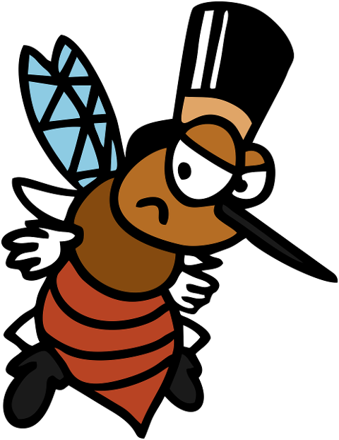 mosquito-angry-insect-nature-fly-9308129
