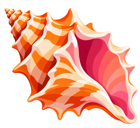 conch-sea-beach-nature-spiral-10490634