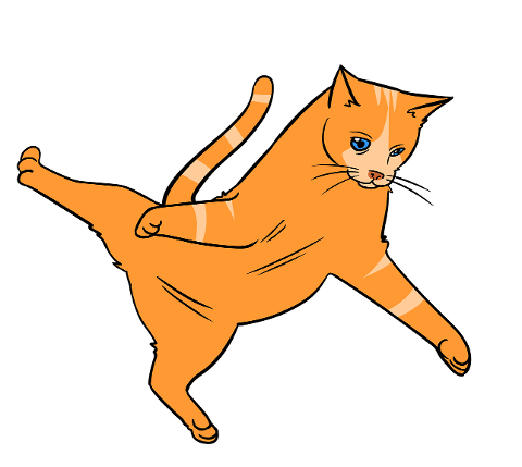 jumping-cat-action-yellow-cat-6909026