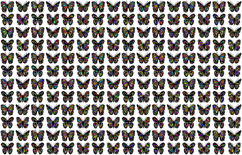 butterflies-insects-background-7900161