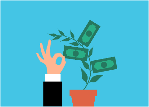 money-plant-investment-cash-tree-6626359