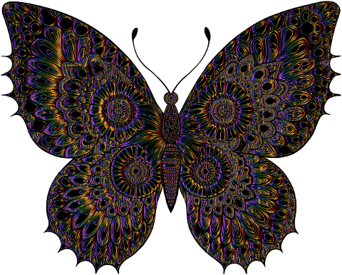 butterfly-insect-animal-flourish-9588143