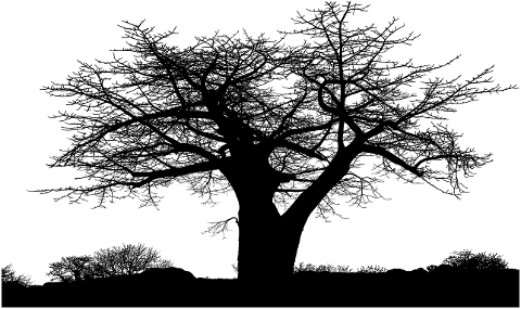 trees-silhouette-landscape-6810474