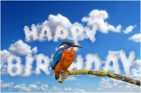 clouds-birthday-kingfisher-bird-6160808