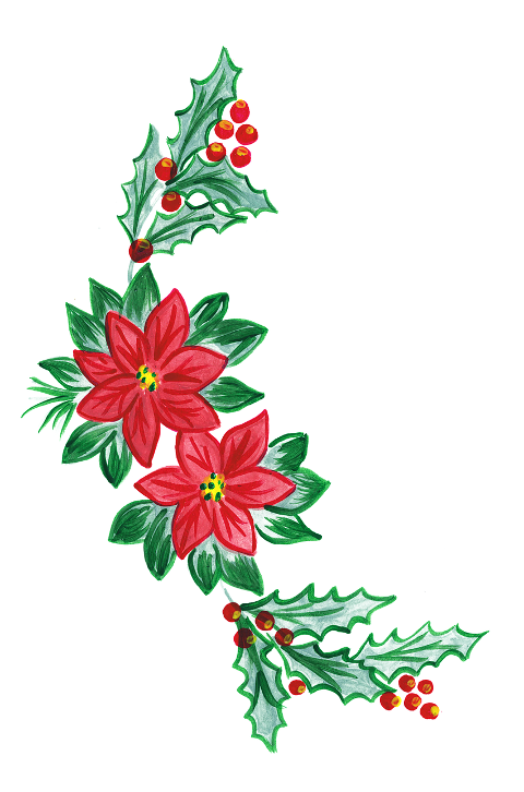 poinsettia-ornament-christmas-holly-6840051