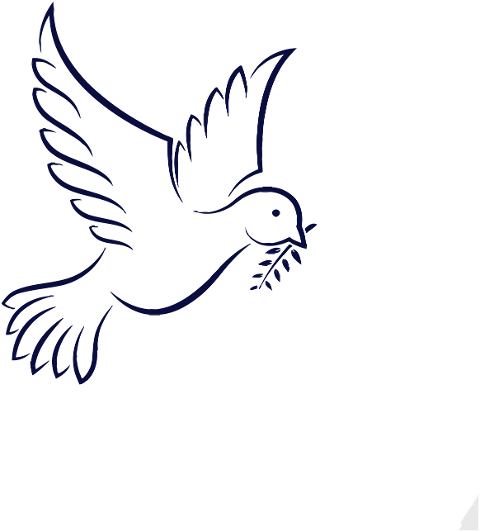 bird-dove-peace-cutout-transparent-6743803