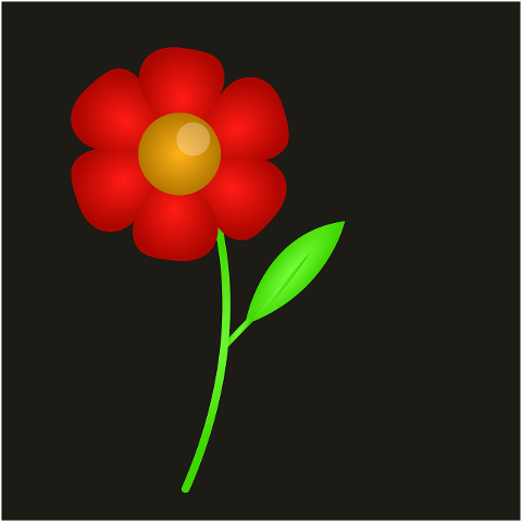 flower-to-flourish-plant-petals-6846378