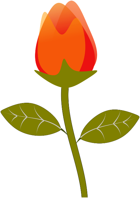 rose-rose-bud-flower-clip-art-7007005