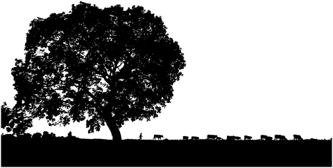 trees-cattle-silhouette-shepherd-8086108