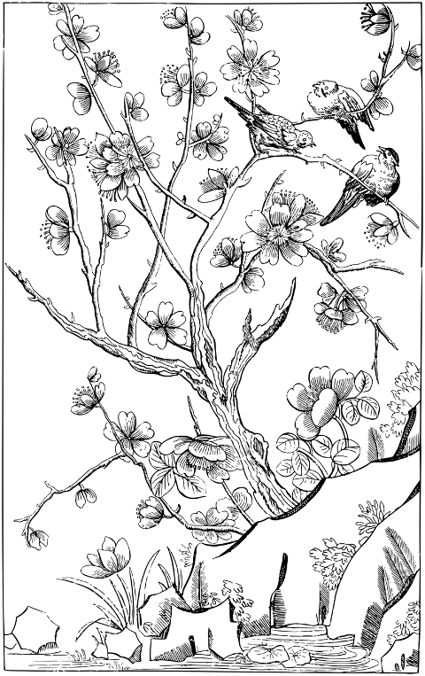 birds-flowers-branches-line-art-5952469