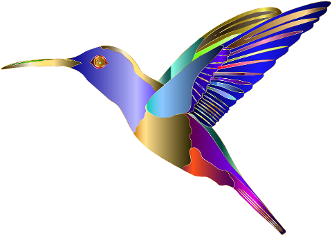 hummingbird-animal-bird-art-7038245