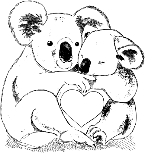 koala-hug-love-heart-koala-bears-7016702