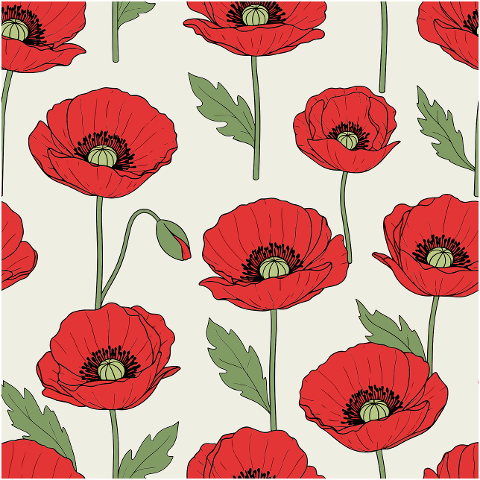 poppy-pattern-red-poppies-10126348