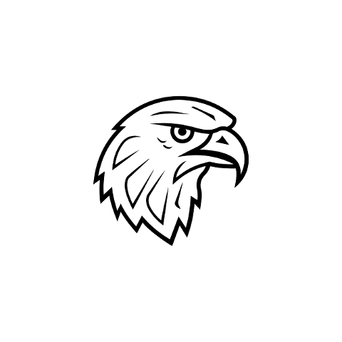 icon-eagle-bird-head-drawing-10112343