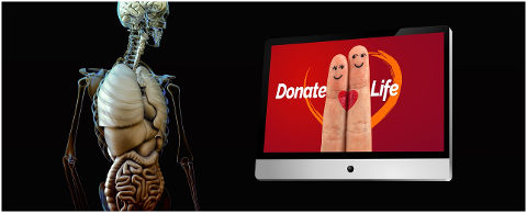 organ-donation-heart-finger-live-4301529
