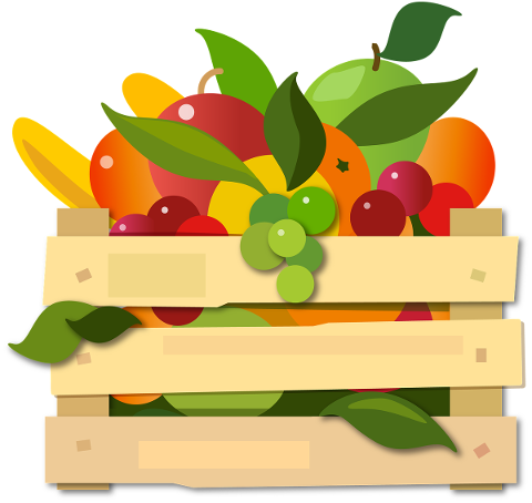 fruit-cash-box-market-ortomercato-5182196