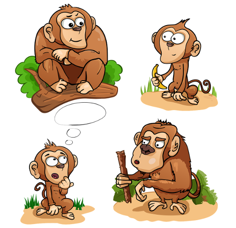 monkey-toque-chimpanzee-marmoset-4703680