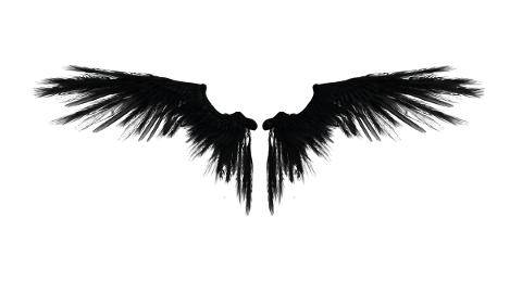 angel-wings-fairy-isolated-4870055