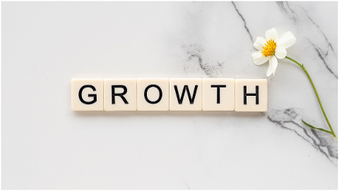 growth-development-success-sprout-4777468