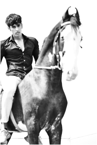 male-model-male-model-on-horse-horse-4887351