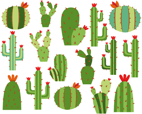 cactus-summer-nature-garden-green-4373599