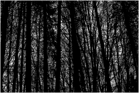 trees-landscape-silhouette-forest-5118226