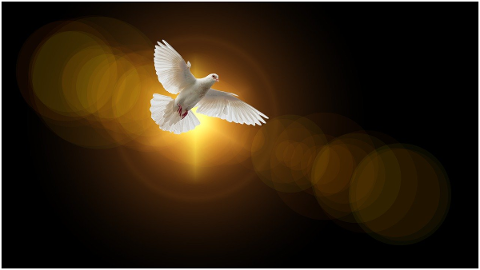 faith-dove-holy-spirit-christianity-4664706