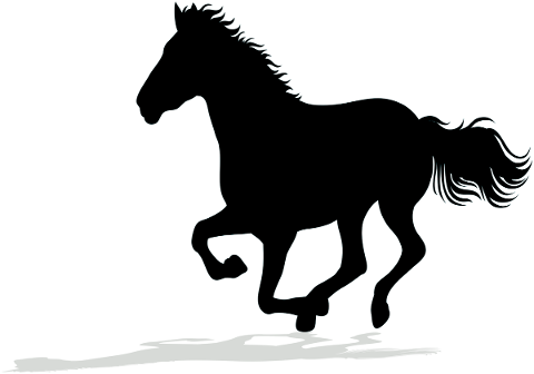 horse-running-silhouette-horses-4898237