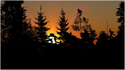 sunset-nature-forest-twilight-4489558