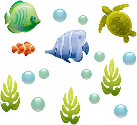 underwater-fish-turtle-bubbles-4804432
