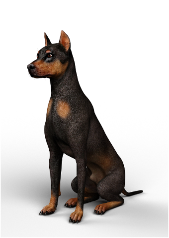 dog-without-background-rendering-3d-4672685
