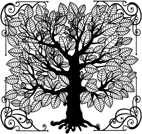 tree-tree-of-life-frame-spiritual-5334789