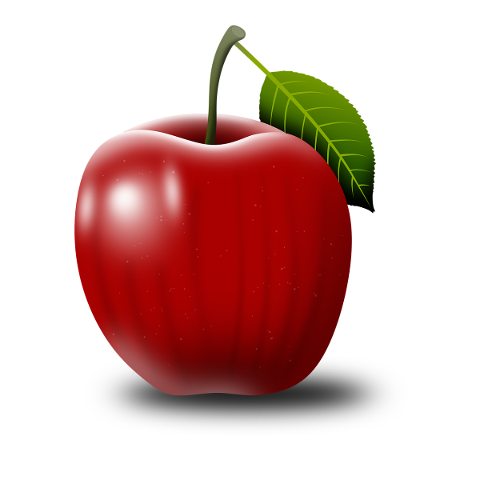 apple-fruit-red-green-organic-5477802