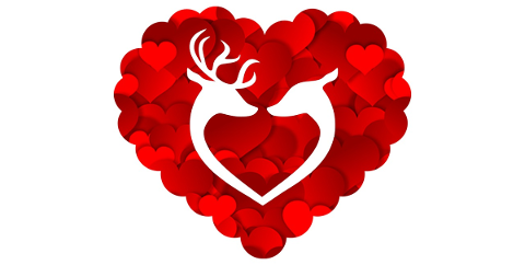 reindeer-deer-animal-heart-love-4944355